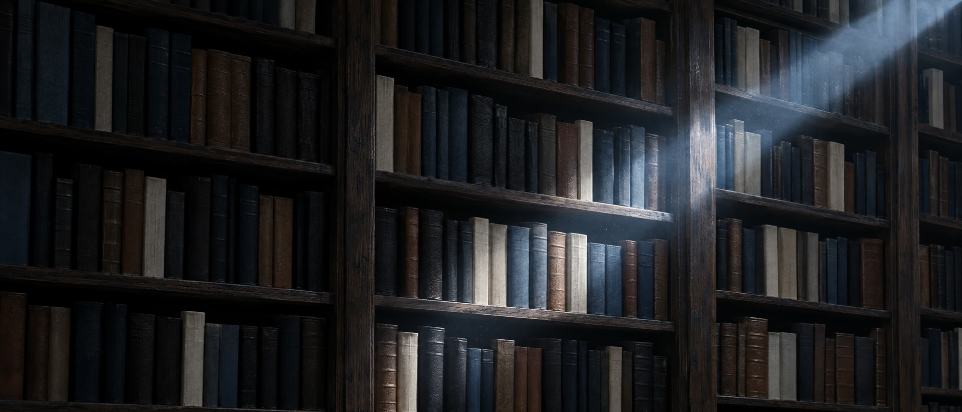 Tall shelves of unlettered books in shadow, one shaft of light falling across them
